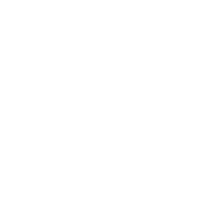 logo for DFI
